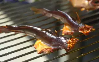 Как закоптить сома в домашних условиях