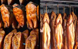 Копчение семги: холодный и горячий способы