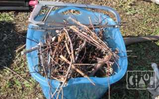 Чем коптить сало: древесина, щепа, опилки