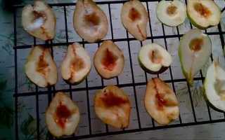 Как коптить фрукты в домашних условиях