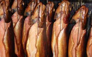 Копчение судака: калорийность, горячий и холодный методы, хранение