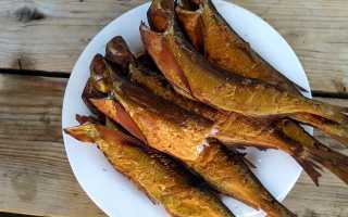 Чехонь горячего копчения в домашних условиях