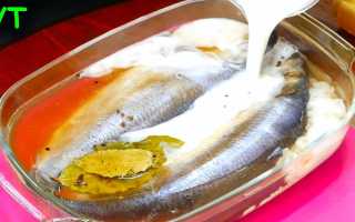 Как правильно вымачивать селедку в молоке