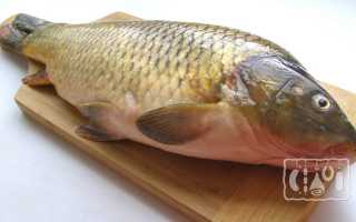 Какую рыбу лучше коптить