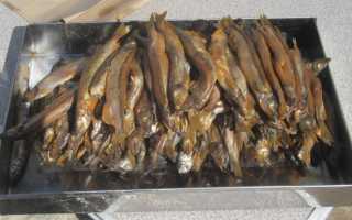 Копчение мойвы: состав, подготовка, холодный и горячий способы