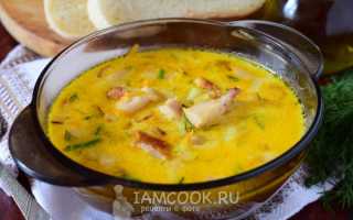 Рецепты сырного супа с копченой курочкой