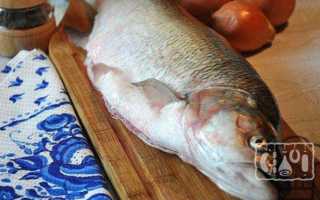 Копчение жереха в домашних условиях