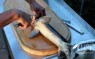 Приготовление осётра горячего и холодного копчения