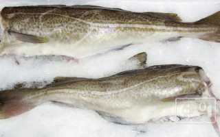 Рыба холодного копчения в домашних условиях