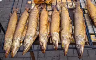 Щука горячего и холодного копчения: рецепты приготовления