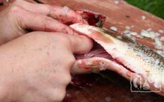 Почему рыба горчит после копчения: основные причины