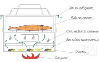 Самодельная коптильня горячего копчения