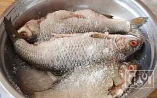 Копчения плотвы в домашних условиях