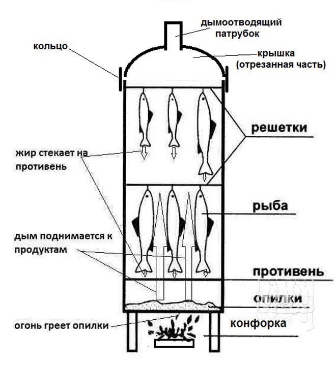 Цилиндрическая коптильня Домашняя цилиндрическая коптильня