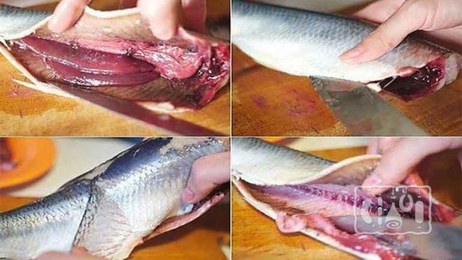 Пошагово подготавливаем сельдь к копчению Пошагово подготавливаем сельдь к копчению