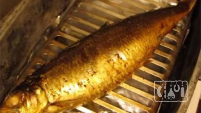 Сельдь коптиться в коптильне горячим методом