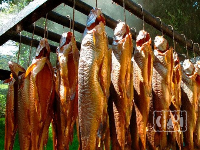 Рыба коптится в коптильни