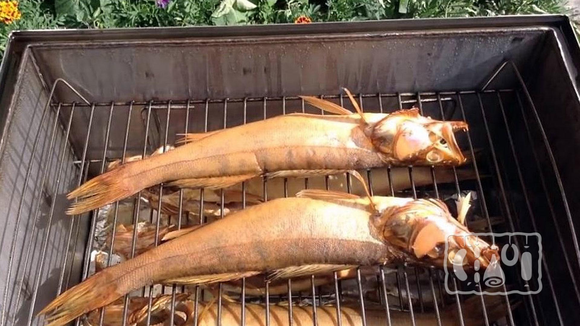 Копчение рыбы горячим методом Копчение рыбы горячим методом