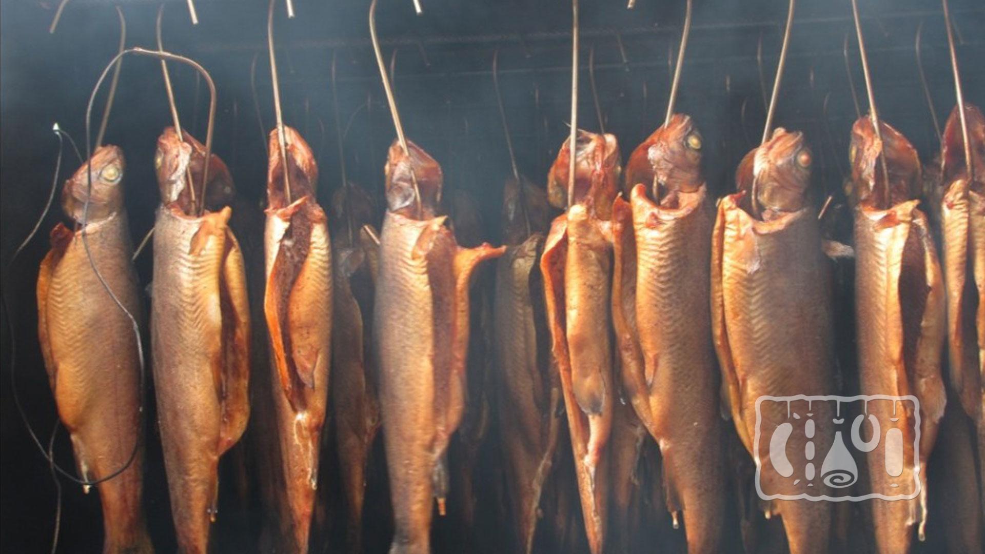 Копчение рыбы на крючках Копчение рыбы на крючках