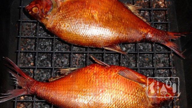 Копченый лещ горячим методом