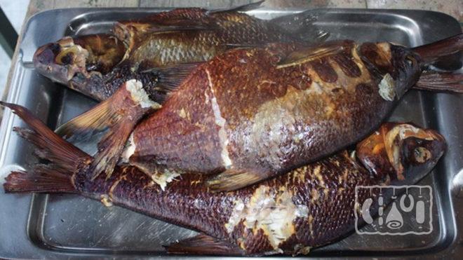 Копченый лещ в домашних условиях 