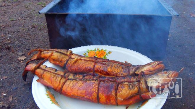 Лосось горячего копчения Лосось горячего копчения