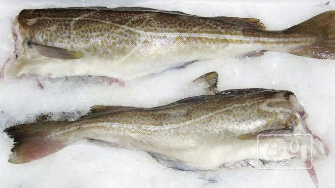 Охлажденная рыба Охлажденная рыба