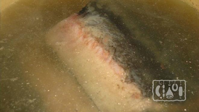 Осетр в рассоле Осетр в рассоле