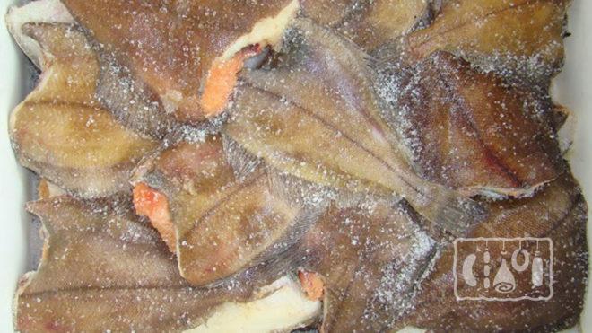 Посол камбалы Посол камбалы