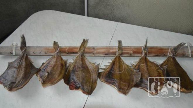 Процесс подвешивание камбалы Процесс подвешивание камбалы