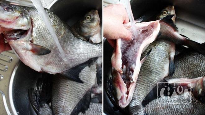 Промывание тушки леща 