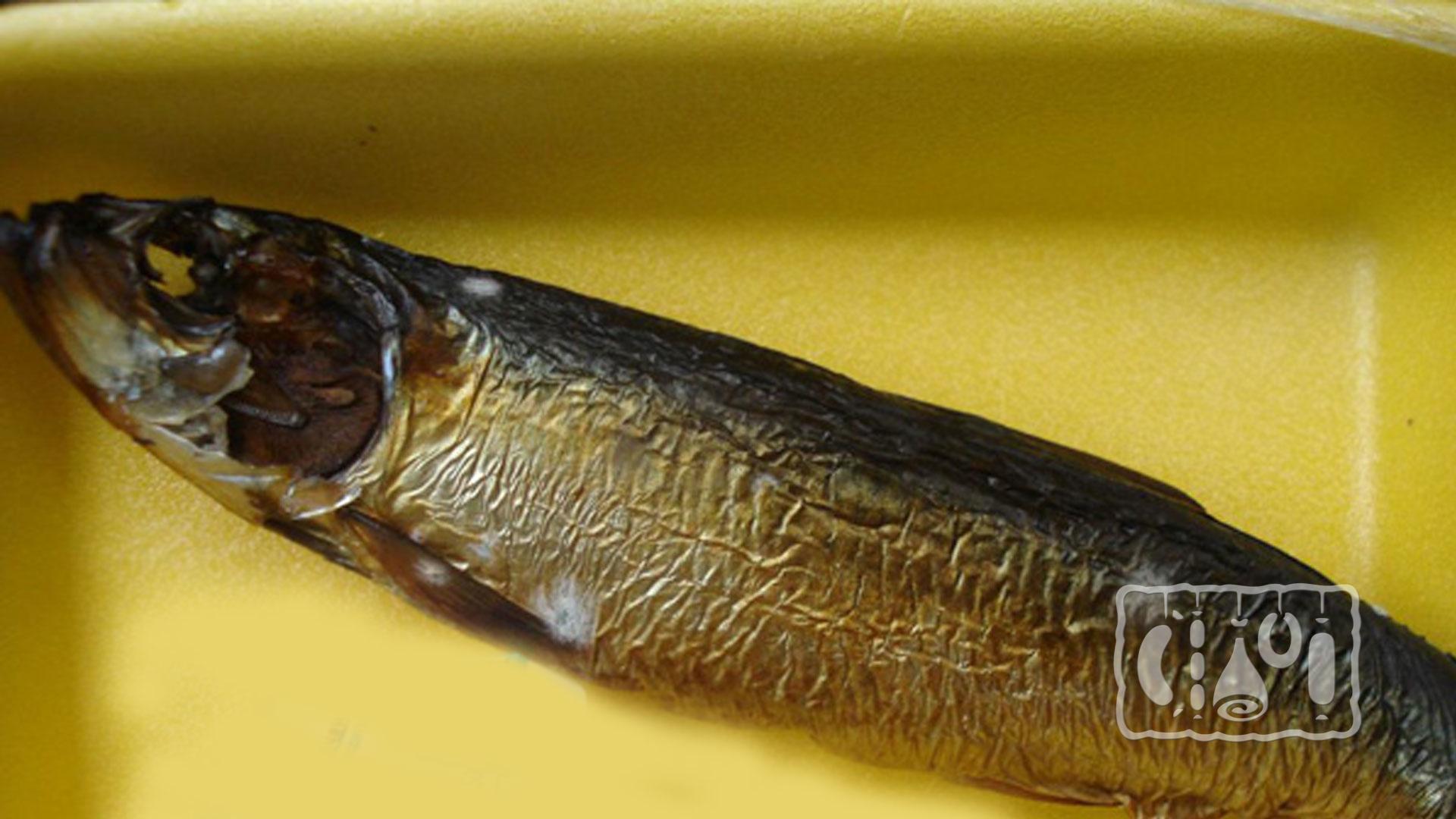 Рыба покрыта плесенью