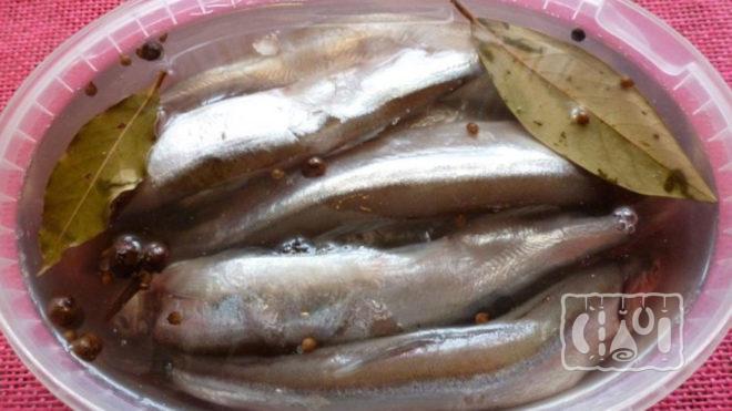 Рыба в рассоле Рыба в рассоле