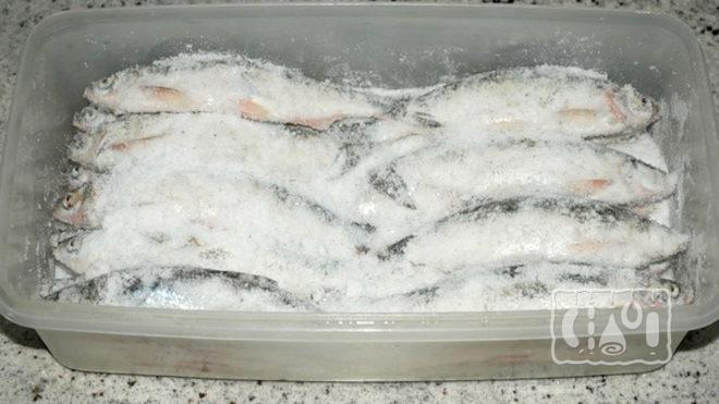 Сухой посол рыбы Сухой посол рыбы
