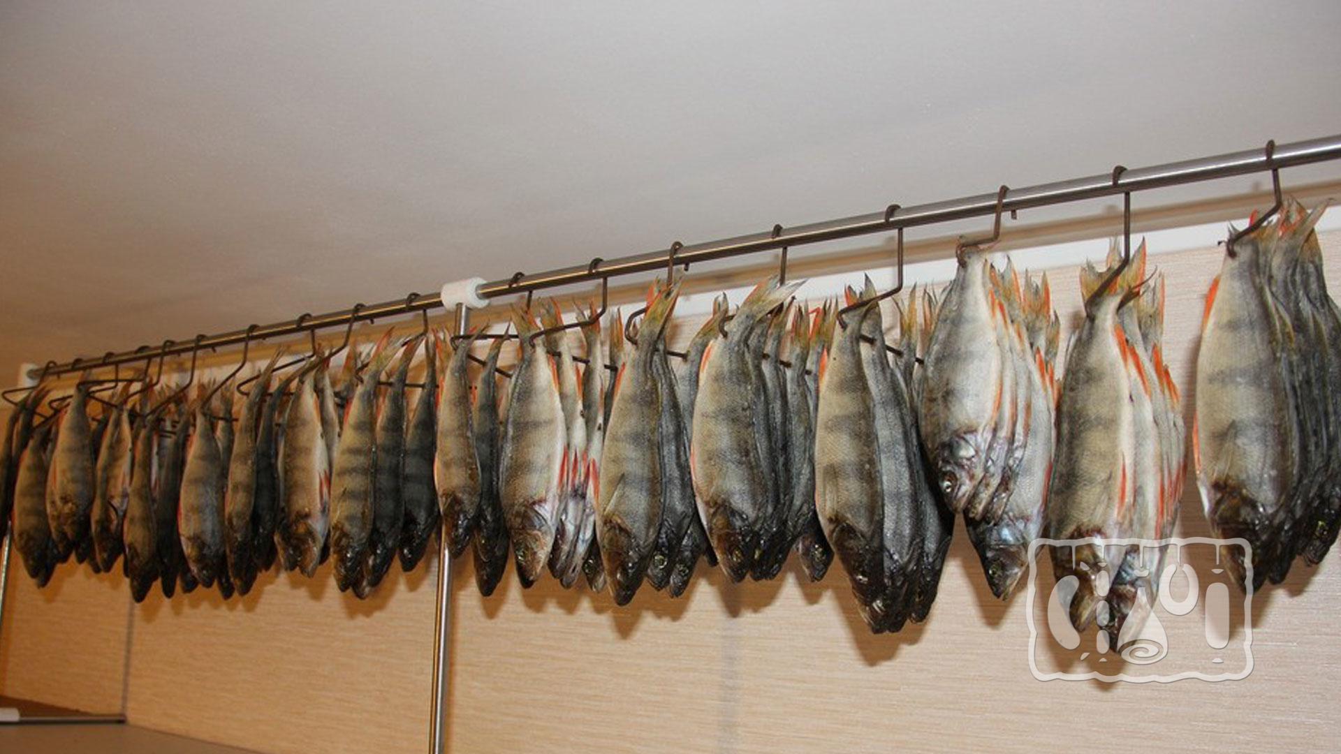 Сушка рыбы Сушка рыбы