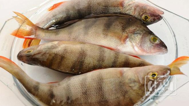 Свежая рыба