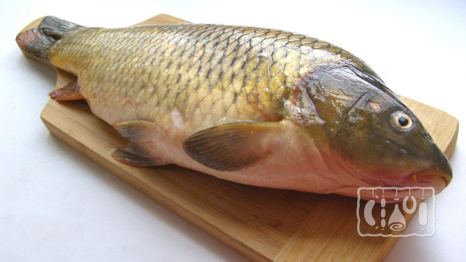 Свежая тушка рыбы Свежая тушка рыбы