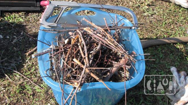 Ветки для копчения 