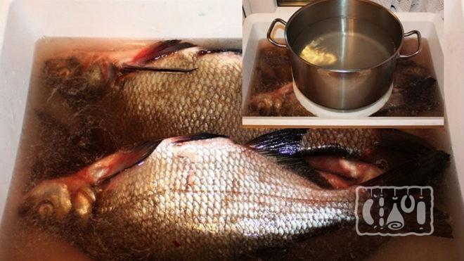 Засолка леща в солевом рассоле